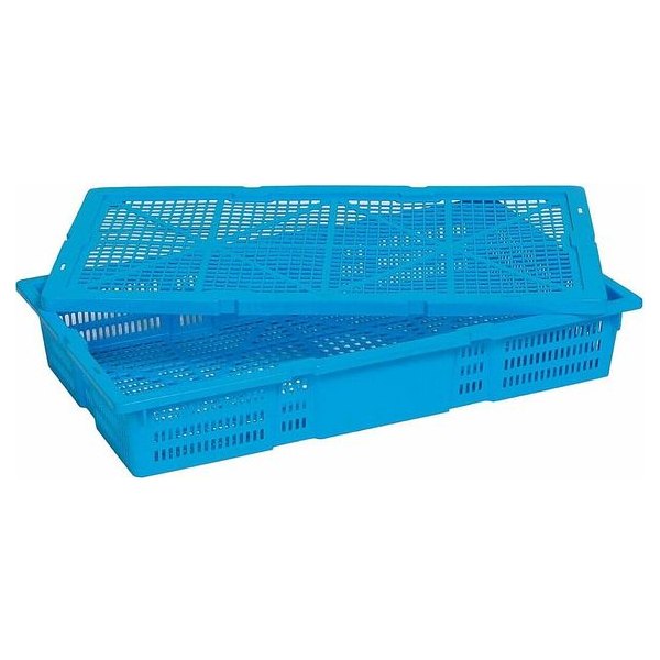 Vented Plastic Prawn Crate BPB-E6035V