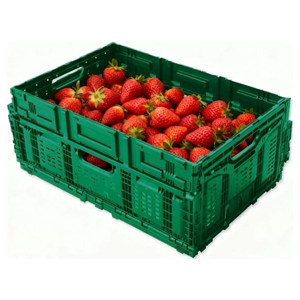 Folding Vented Plastic Crate (BPB-K5724FV)
